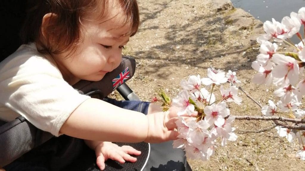 A child on a stroller and touching a flower